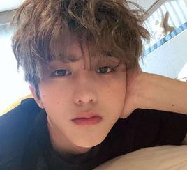 娱乐大爆料范丞丞王安宇,揭秘明星幕后故事  第1张